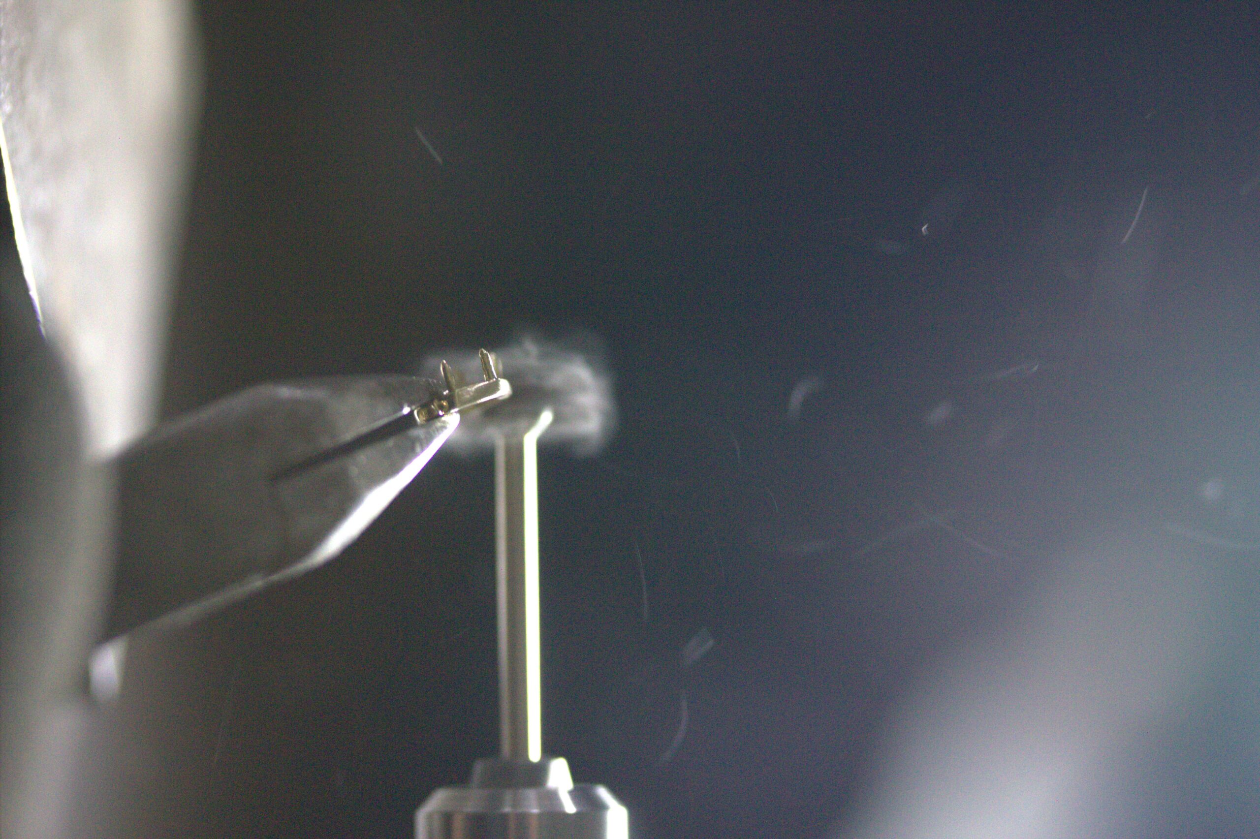 Polishing Details